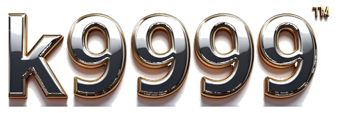 k9999 logo